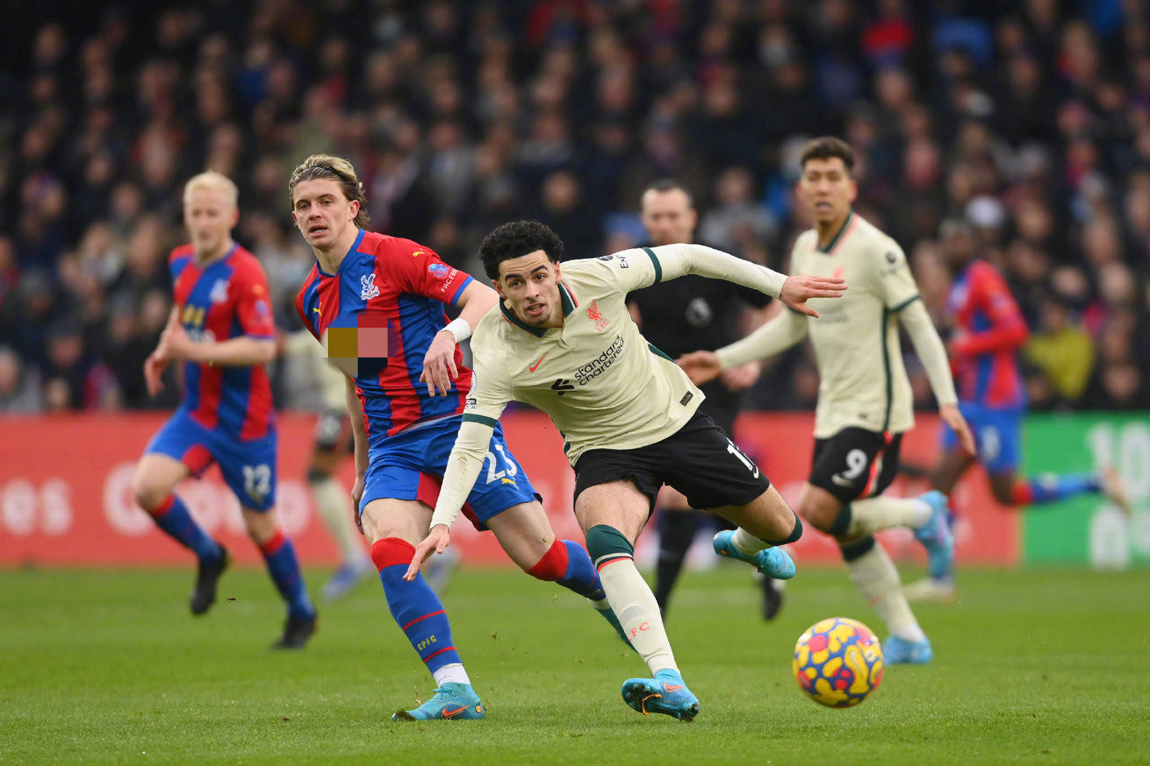 依靠穩固的 依靠穩固的